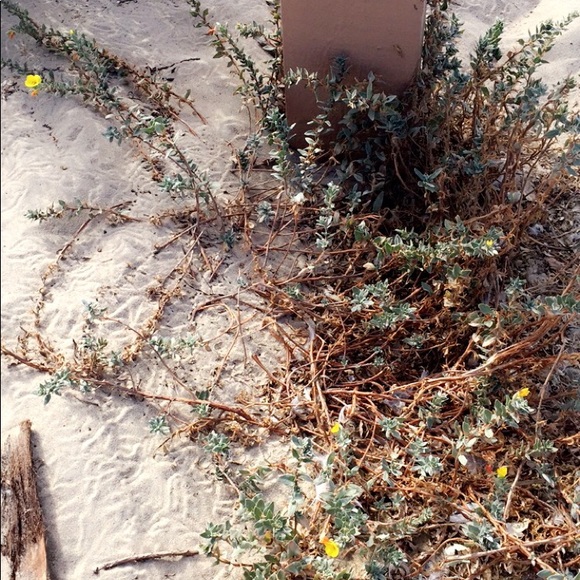 cast03